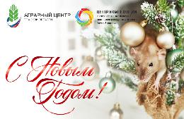 С Новым годом! С Новым годом!